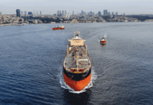 The Future of the Strait of Hormuz